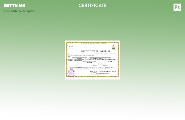 модерен стил Сент Винсент и Гренадис шаблон за шаблон Word и PDF
